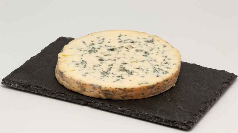Le côté Bleu de la fourme fait parfois peur au public.