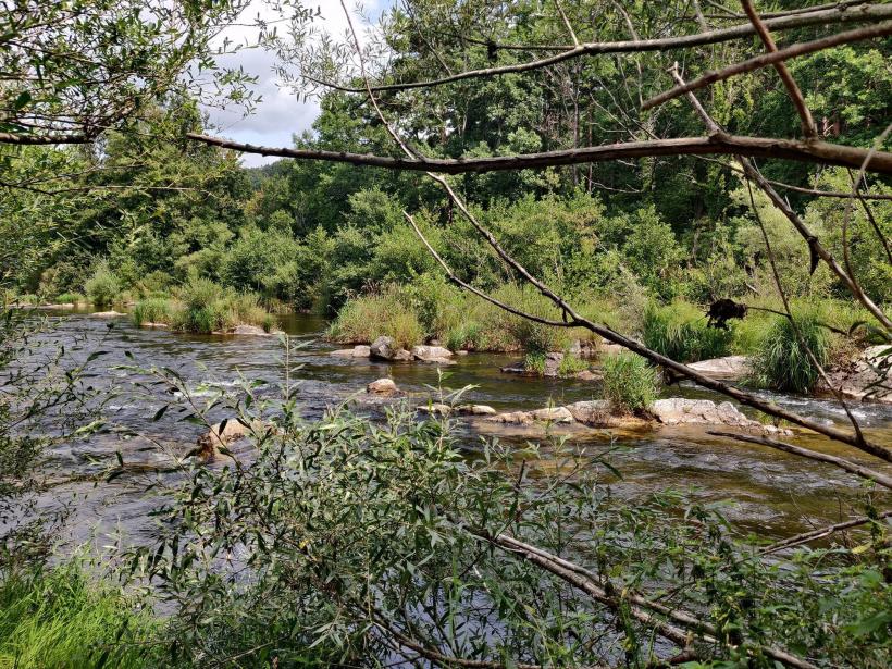 La Loire à Cussac-sur-Loire le 22 août 2021.