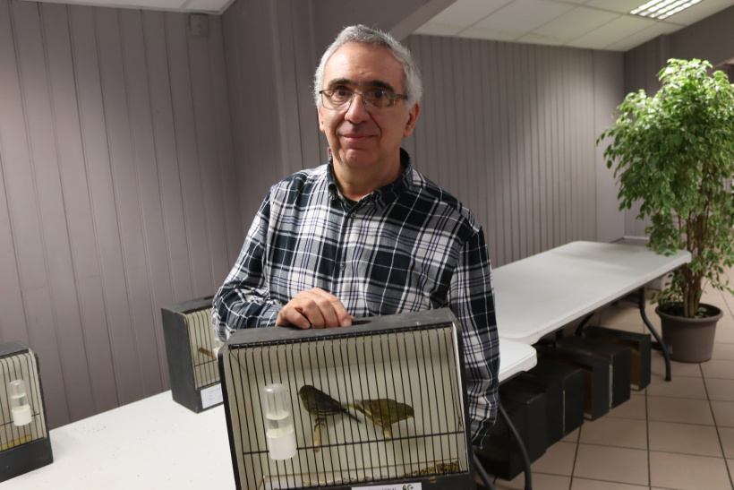 Expo vente d'oiseaux MPT de Chadrac