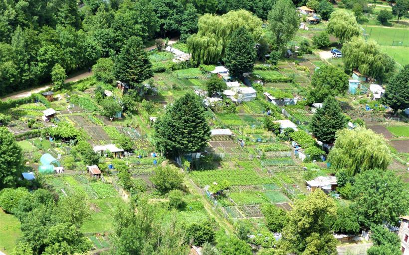 Les jardins de la Borne, témoins des jardins ouvriers et familiaux de l'époque.