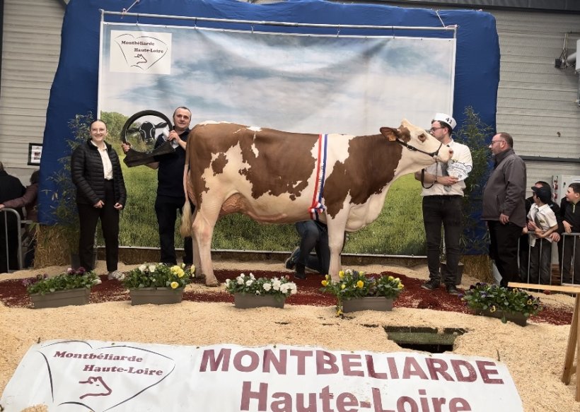 "Solution" fut la grande gagnante de l'élection Miss Montbéliarde Haute-Loire 2024.