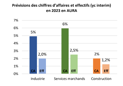 Prévisions des chiffres d'affaires et effectifs dans la Région pour 2023. 