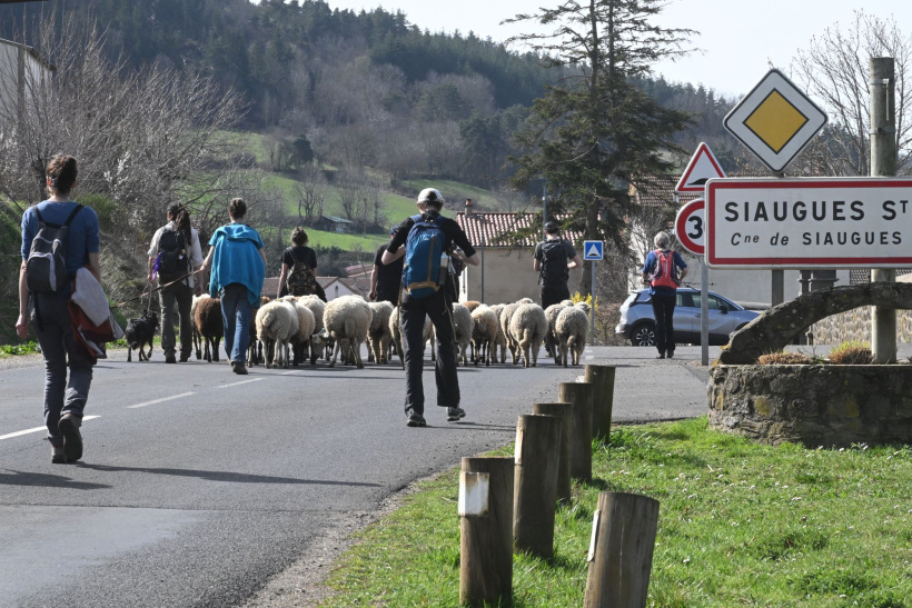 Ils marchent pour partager leurs solutions alternatives face au projet de la Région.