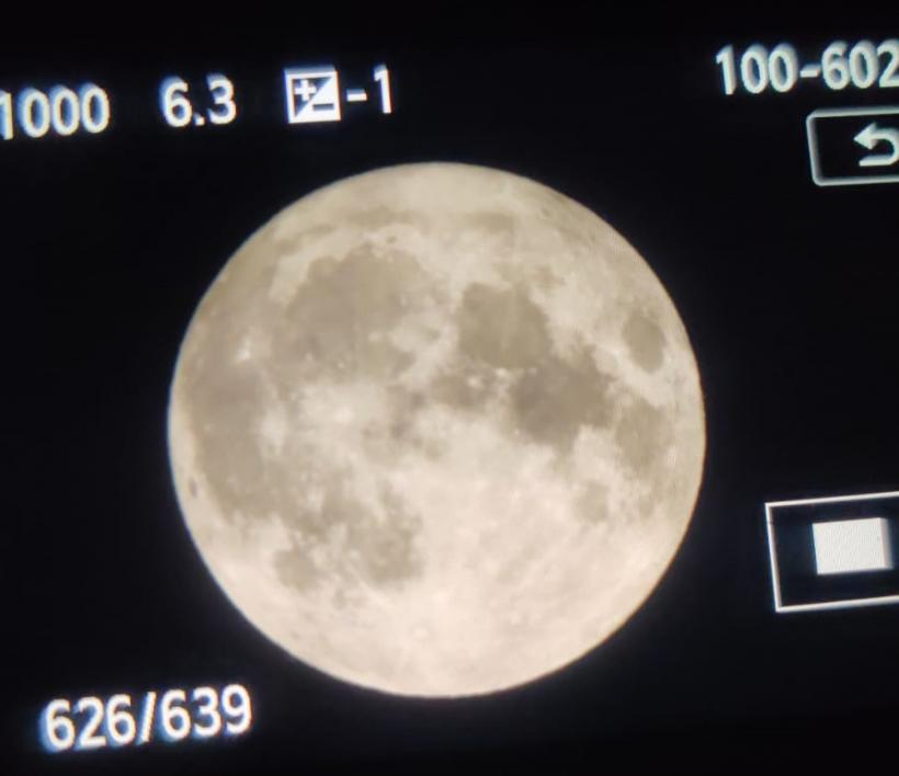Beaucoup de photographes ont profité de la Lune Bleue.