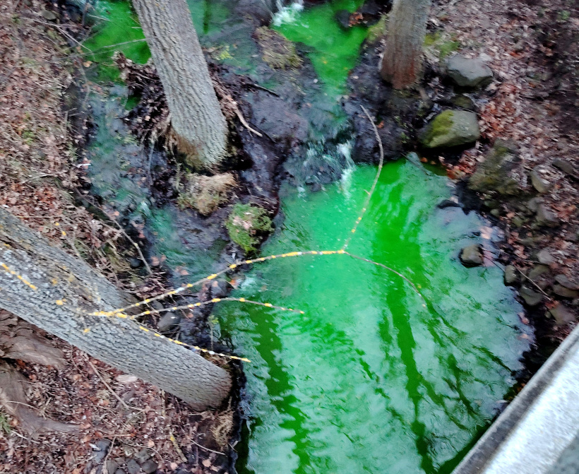 Qui veut plonger là-dedans ? 