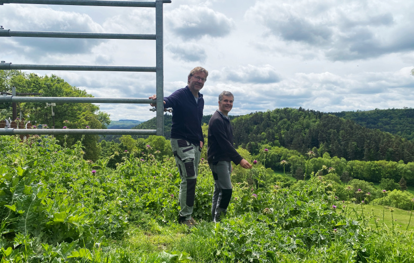 Olivier et Christian Bernard élèvent 750 brebis Noires du Velay