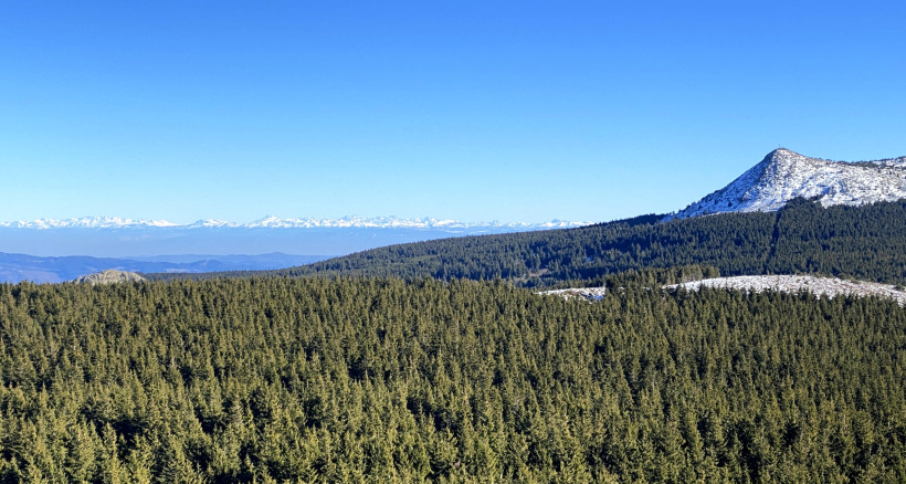 Pas de neige mais de magnifiques randos à faire avec la chance de voir les Alpes.