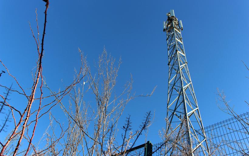 L'antenne 4G est construite à 250 mètres de l'exploitation.