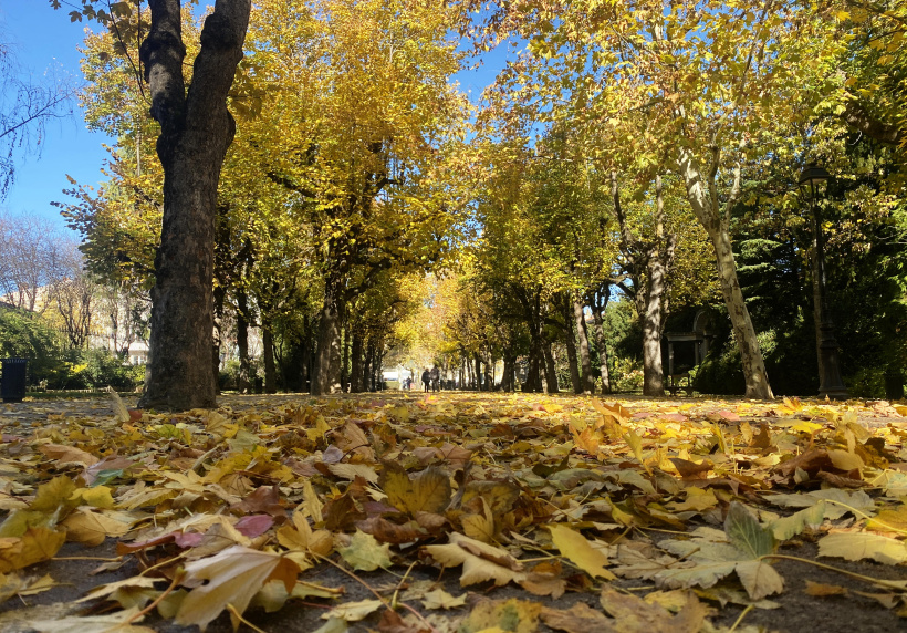 Les allées du jardin Henri Vinay se parent doucement de leurs habits d'automne.  