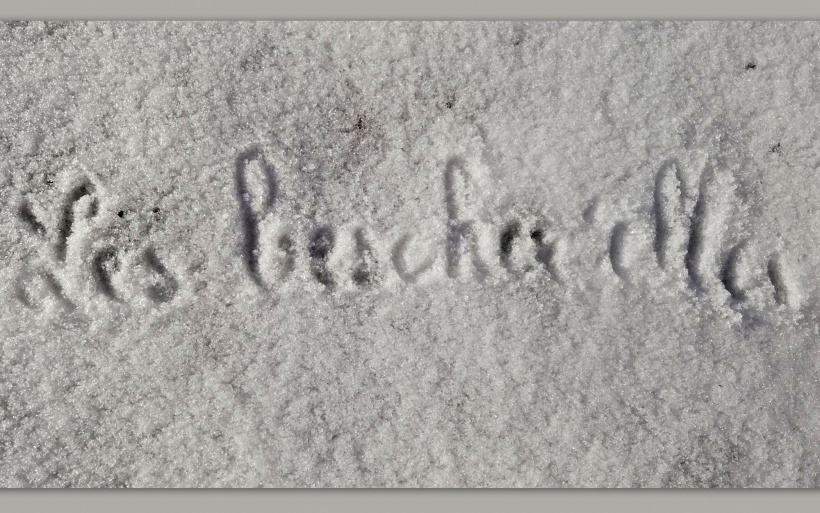 "Les Bescher’elles" inscrit dans la neige et la solidarité. 
