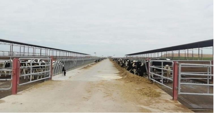 Les apprentis ont visité l'une des plus grandes fermes d'Espagne "Granja San José".