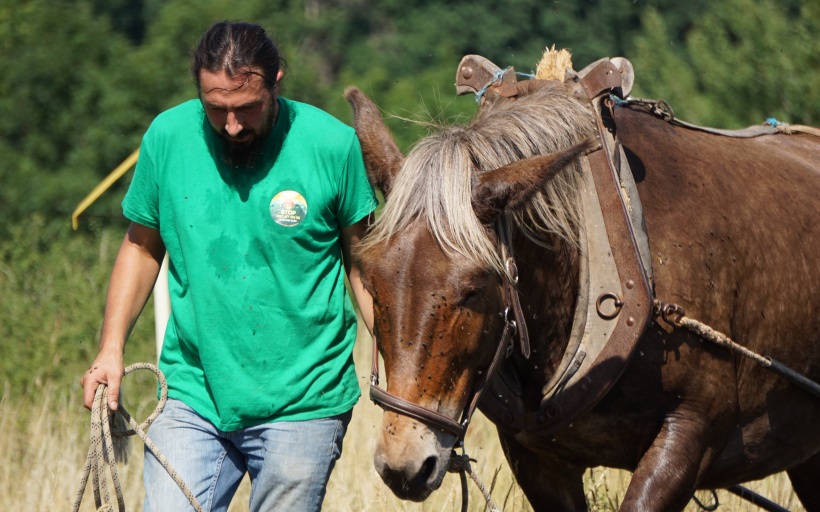 L'écologiste et Conseiller régional Renaud Daumas.