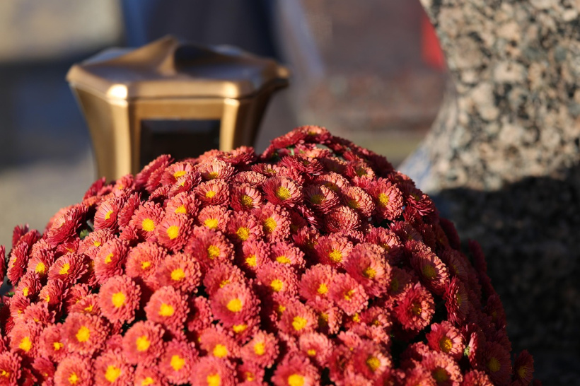 Chrysanthème