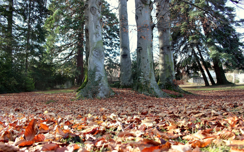 Parc de la banque de France au Puy-en-Velay