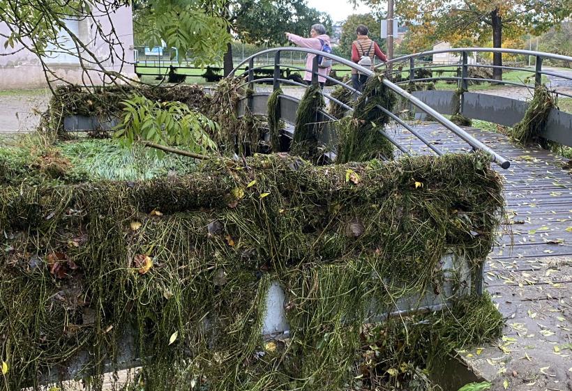 Des tonnes et des tonnes de branches et de troncs ont été trainées par la crue. 