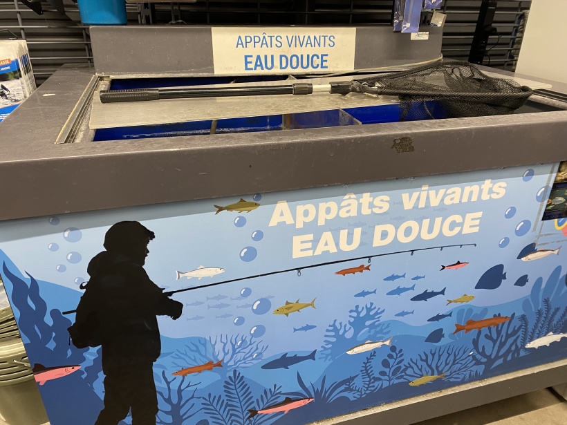 En 2025, Decathlon le Puy commercialisait toujours des appâts vivant