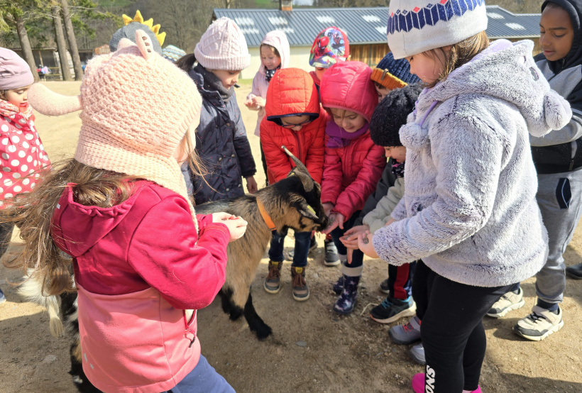 Les animaux semblent ravis de la présence des enfants.