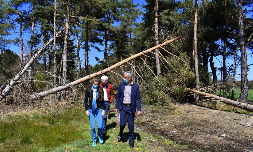 L'entrée Nord de la forêt du champ du Cros de St-Victor-sur-Arlanc a été dégagée.