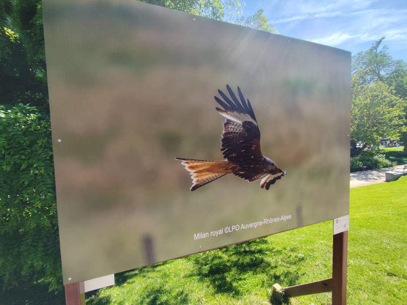 LPO exposition photo Issoire