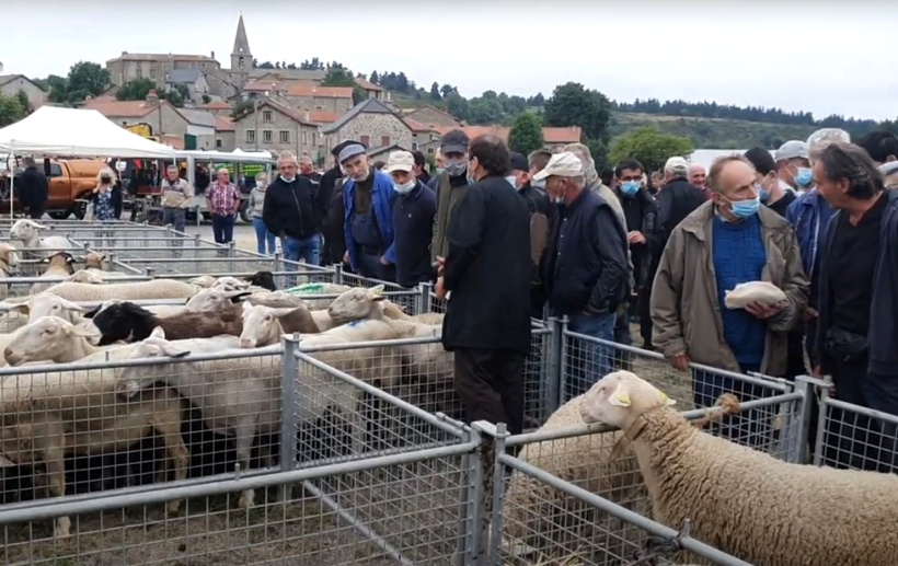 La foire de Thoras (ici, en 2021), traverse aisément le temps sans foirer un instant.