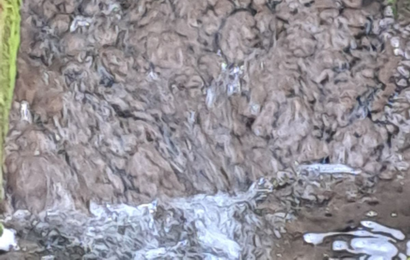Il est plutôt déconseillé de tremper ses pieds dans l'eau du ruisseau de Mauriac. 
