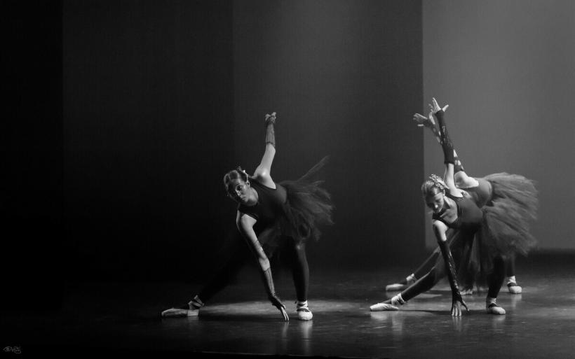 Cécile et Carine Mouilhade et leurs élèves ont présenté le spectacle « bal animal ».