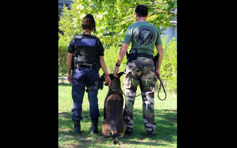 Diverses spécialités sont possibles en tant que Gendarme Adjoint Volontaire.