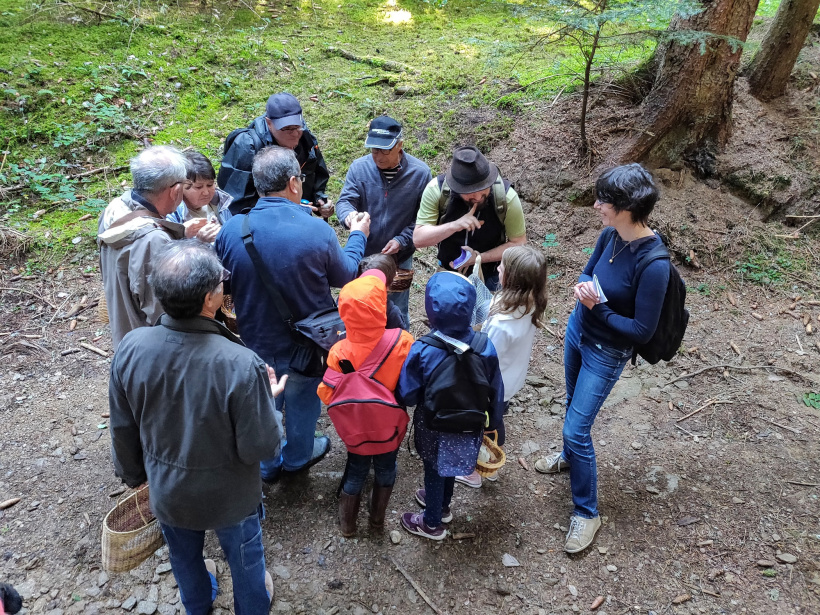 Le groupe mycologique en sortie en forêt de Lamandie à Cistrieres.