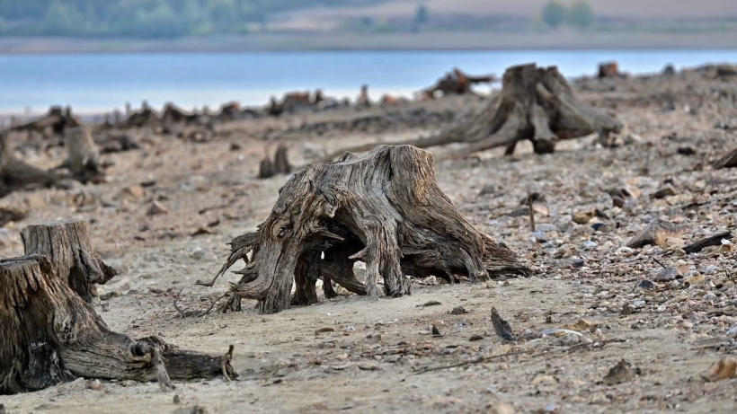 Même les plus anciens se donnent à cœur joie de sortir un peu la tête de l'eau. 