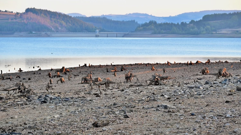 C'est une invasion qui se déroule sur les plages de la retenue. 