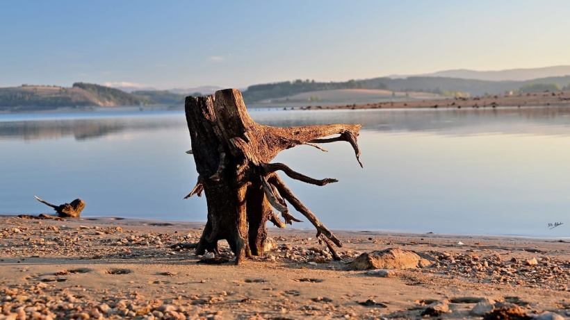 Il montre au photographe où se trouvait la maison des enfants qui grimpaient sur lui jadis