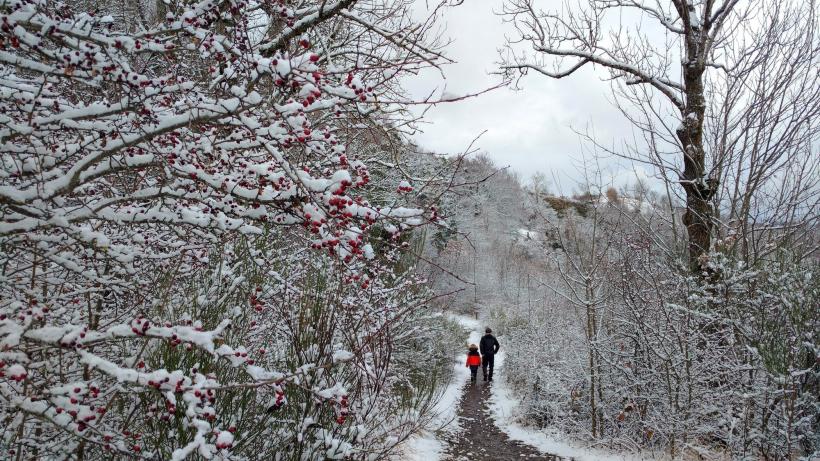 La neige recouvre la Haute-Loire.