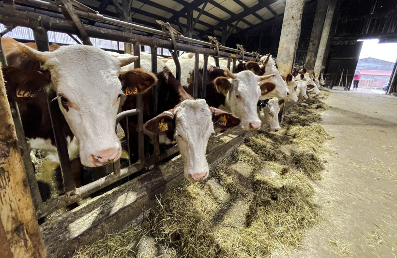 La FNE 43 pour une agriculture extensive