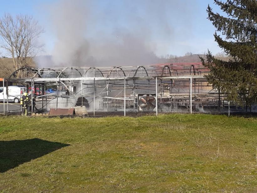 La serre de 400m2 du Centre d'Aide par le Travail de Langeac est partie en fumée.