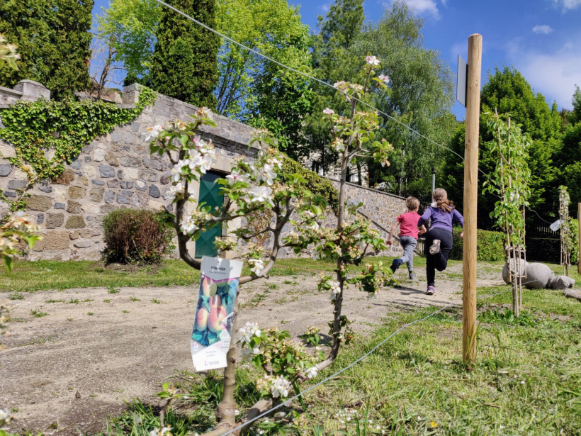 Des fruitiers ont été plantés à l'automne 2021 au jardin Viscomte de Vals.