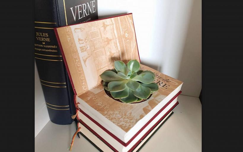Une plante dans un livre de Jules Verne