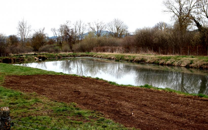 Un des bassins d'épuration du lagunage de Fontannes à Chaspuzac.