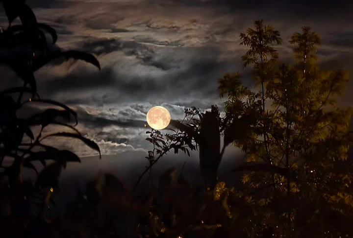 L'ombre et la lumière se sont liées toute la nuit, comme deux amants s'aimant.