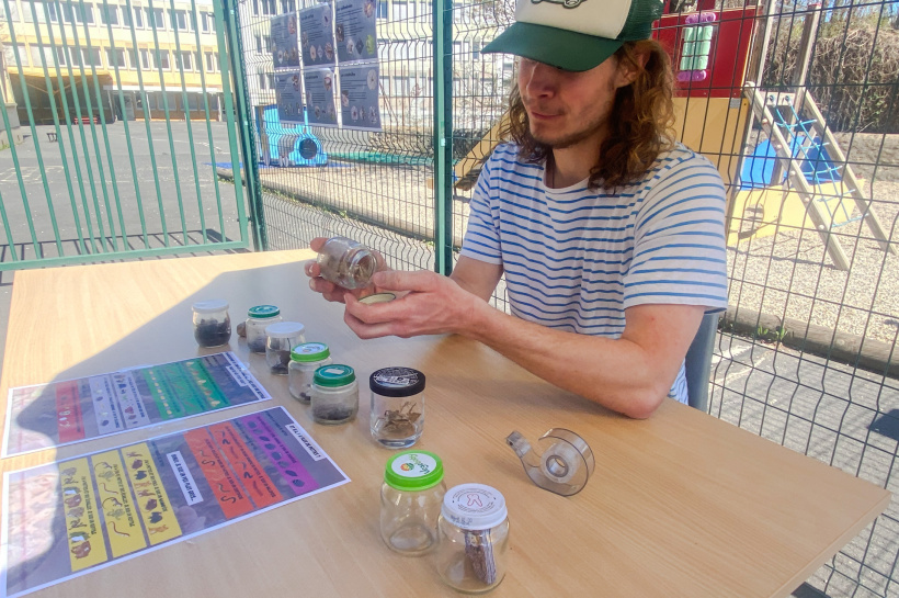 Nenehmi propose une animation sur els insectes, acteur indispensable du compost