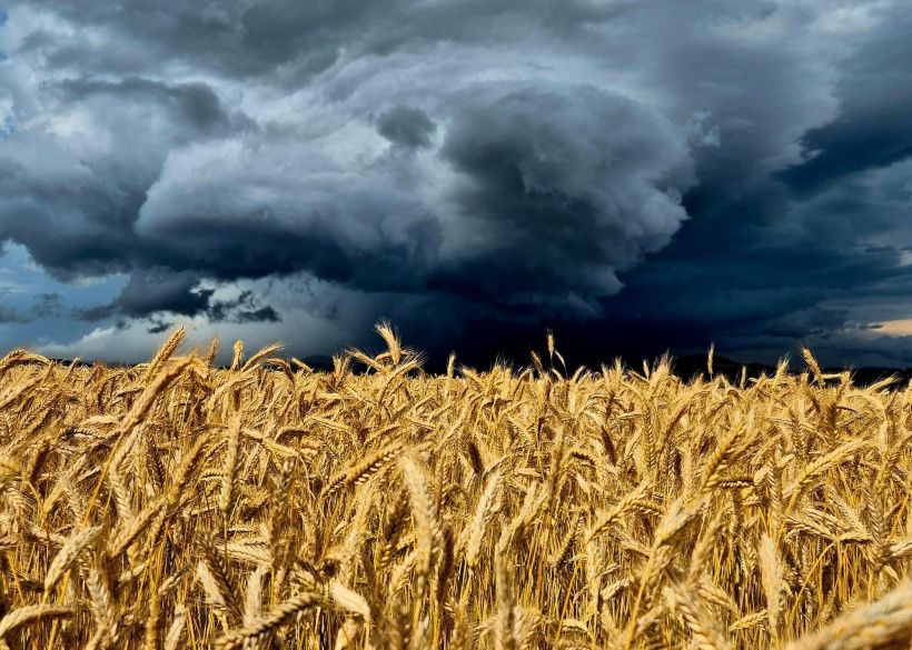 La Haute-Loire  : Vigilance orange pour la pluie et jaune pour les crues en conséquence. 