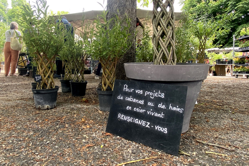 Des plantes pour les constructions