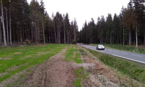 La RD23 est bordée de résineux de culture entre St Didier en Velay et St Victor Malescours.