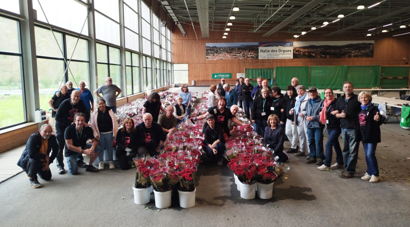 Les bénévoles sont déjà au travail pour préparer les roses