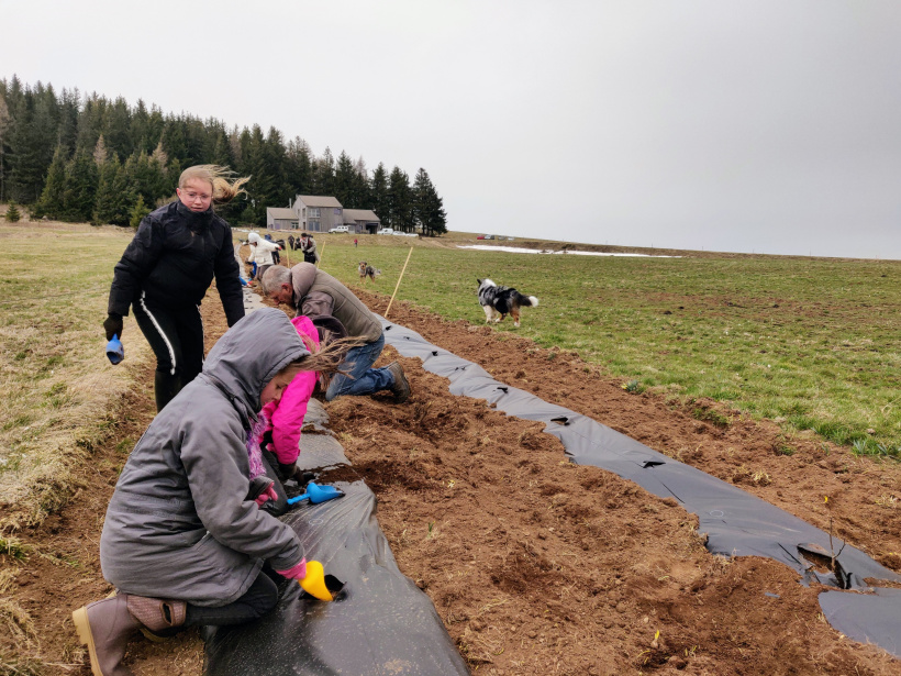 Les écoliers de Saint-Front ont été efficaces dans leurs plantations.