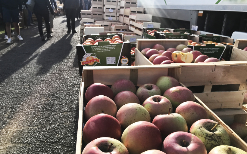 3.5 tonnes de pommes sont issues des pommiers de Polignac pour l'occasion.