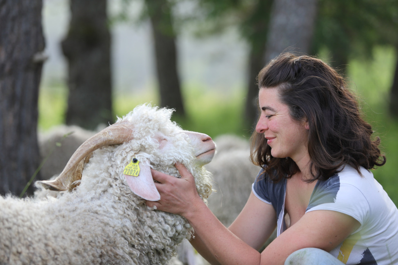 Bouclux, le bouc et Aglaé au moment de son installation