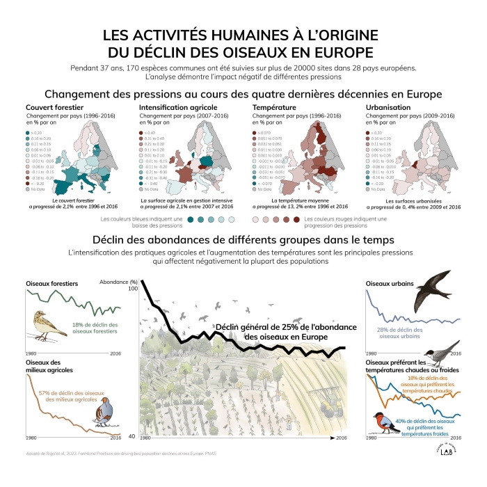 Le schéma publié par le site PNAS pour expliquer l'étude.