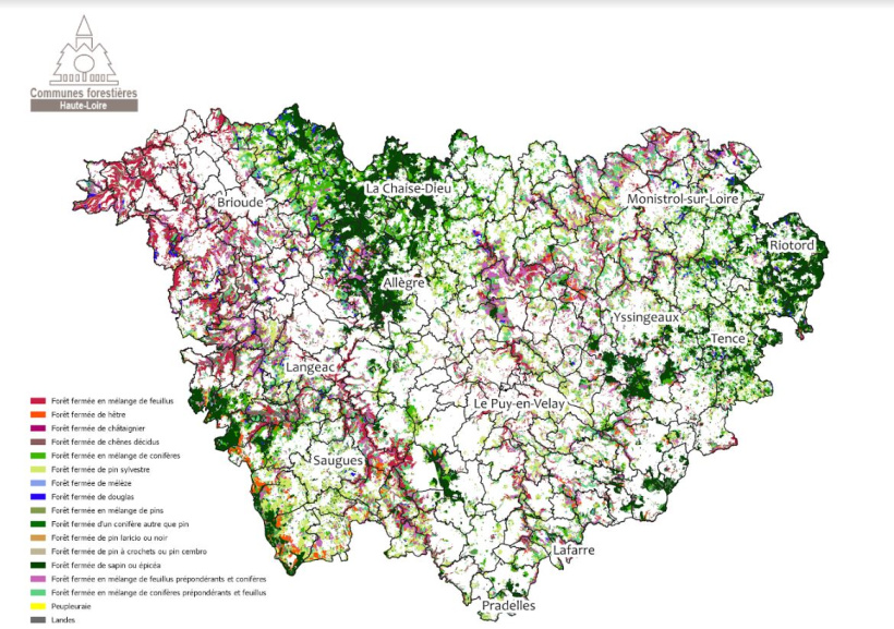 Carte des types de peuplements en Haute-Loire. 