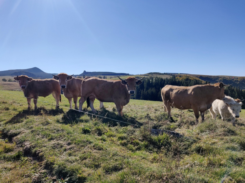 Le secteur agricole Le secteur agricole alerte sur les difficultés qu'il rencontre au quotidien.