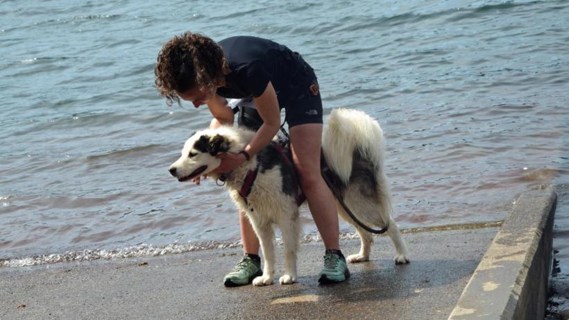 Heureux comme un chien dans l'eau